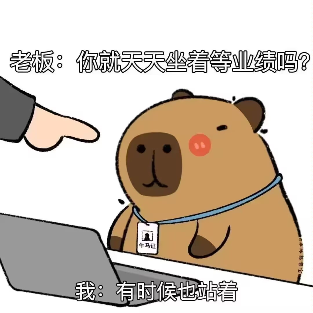 Halo 阿夜